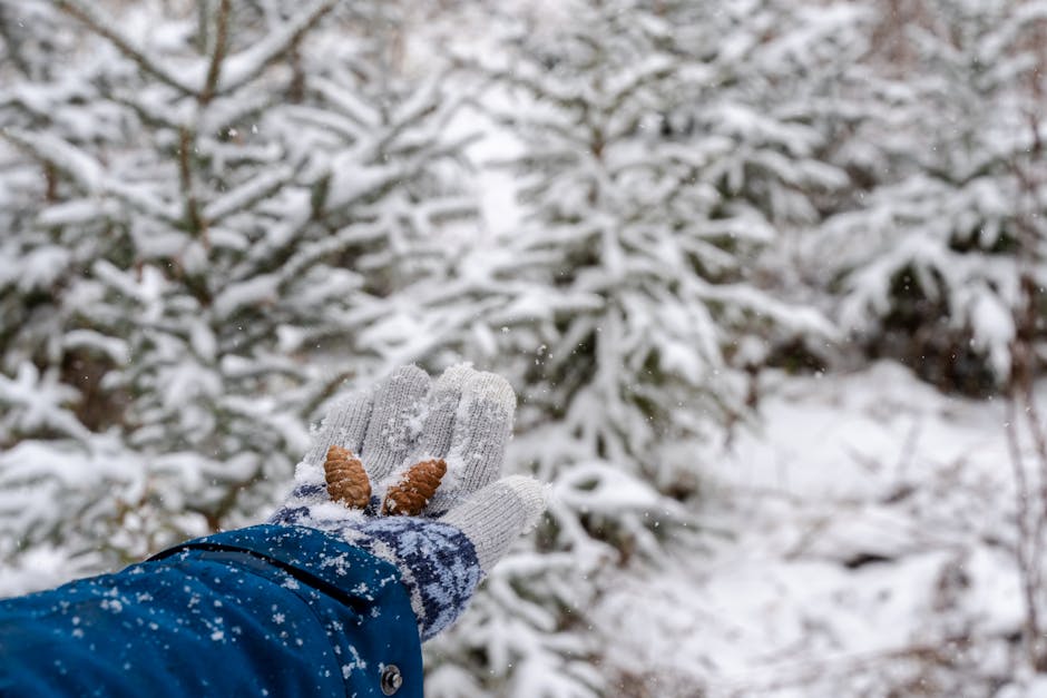 Descoperă cum va fi vremea în Alba de Crăciun și Ajun