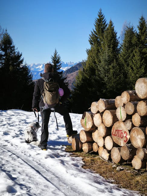 Explorarea muntelui: Provocări și riscuri în sezonul rece