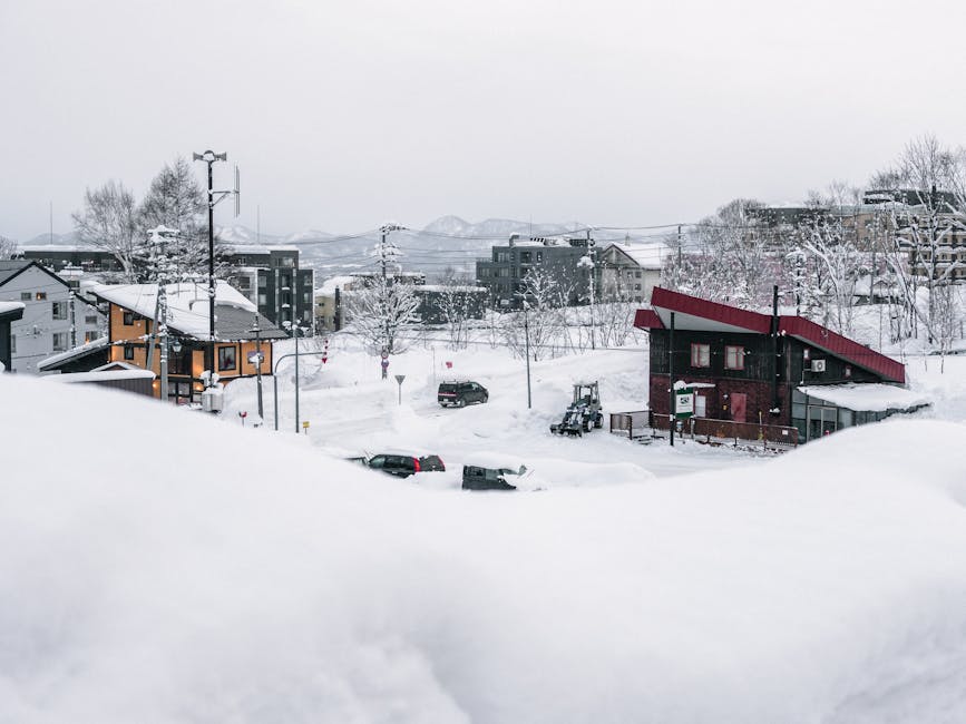 Ianuarie 2026 promite vreme rece și ninsori abundente