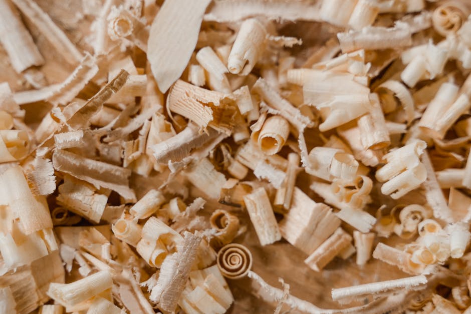 Proiect ambițios pentru dezvoltarea WOOD EXPERT MANAGEMENT SRL în Mihăilești