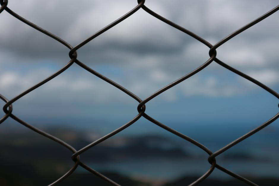 Trecerea cu BAC-ul pe ruta Bechet-Oryahovo suspendată temporar din cauza vremii