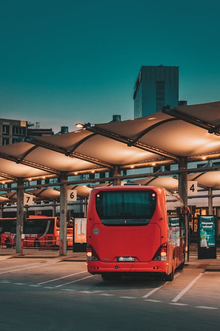 Brașov introduce autobuze suplimentare pentru Cimitirul Municipal pe 1 și 7 noiembrie