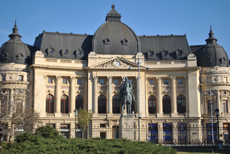 Avertismentul senatorului AUR: Educația deficitară va afecta salariile românilor