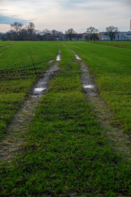 Băut și fără permis: un ieșean scapă de închisoare după un accident cu tractorul