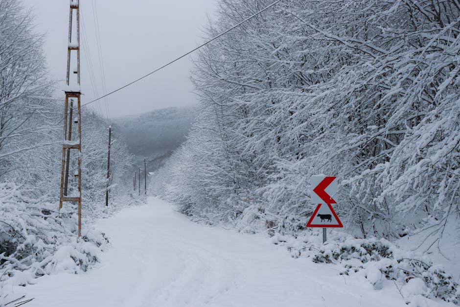 Atenție, turiști! Iarna își face simțită prezența pe munte