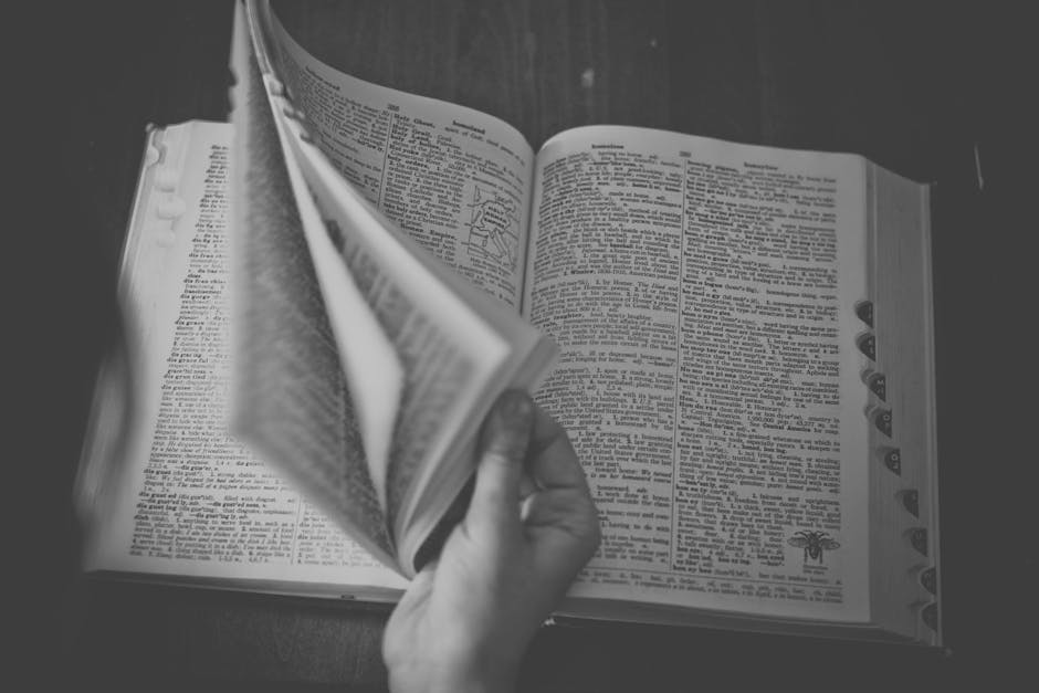 Topul cuvintelor căutate de români pe Dexonline în 2025: Descoperă termenii preferați