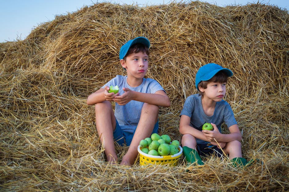 Frații Pavăl își extind afacerea prin implicarea familiei în investiții agricole