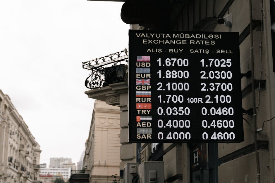 Creșterea euro și dolarului provoacă neliniște pe piața valutară