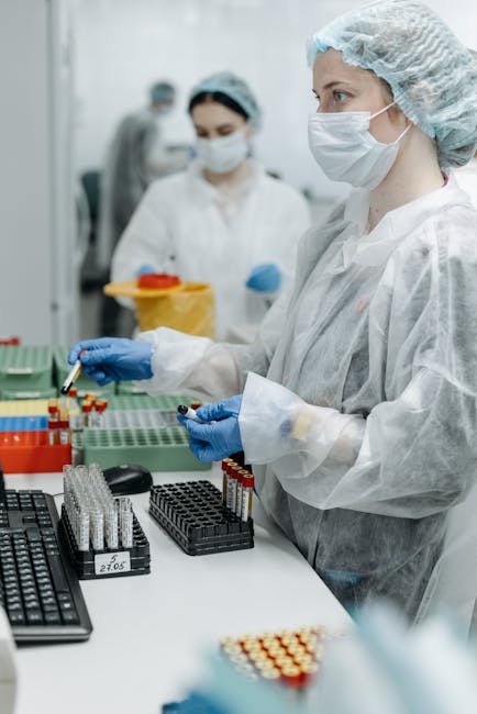 Consumarea brânzei grase ar putea reduce riscul de demență, sugerează un studiu