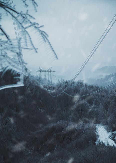Pompierii din Mureș, mobilizați în urma Codului Portocaliu: arbori căzuți și probleme cu energia