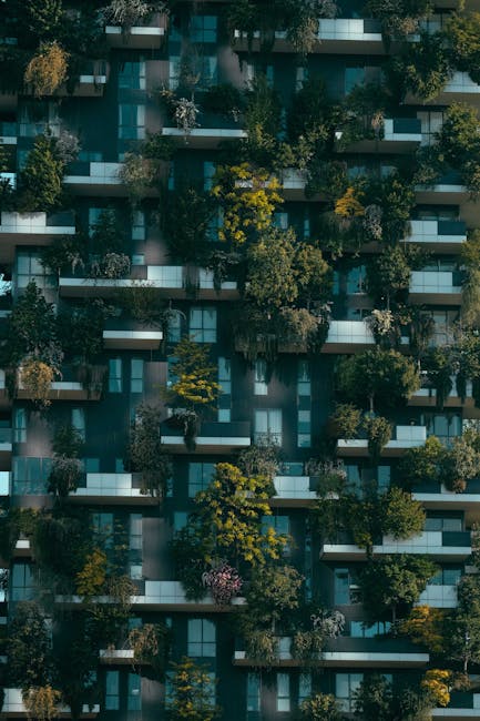 Camellia Residence anunță debutul apartamentelor în 2026: un nou standard de locuire