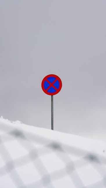 Sfaturi esențiale pentru șoferi în condiții de ninsoare și viscol