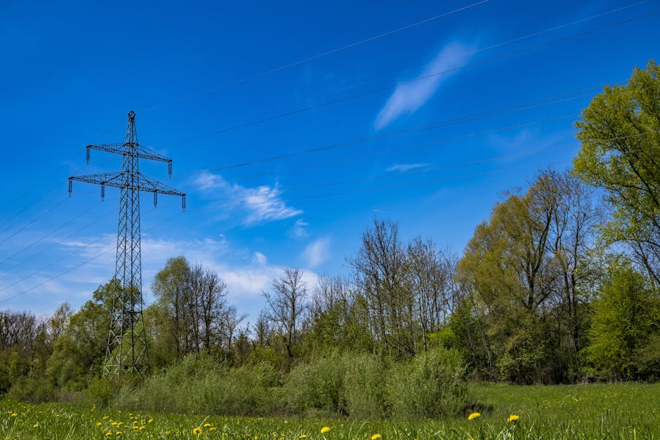 Hidroelectrica menține prețurile accesibile pentru români în 2026