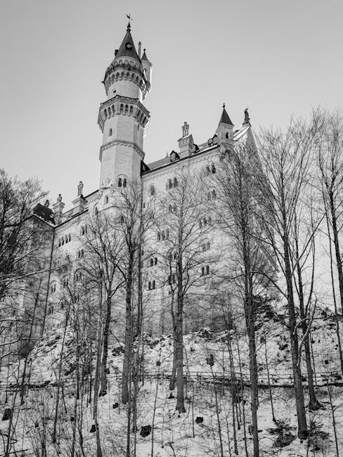Descoperă influența lui Jacob Grimm asupra literaturii și culturii