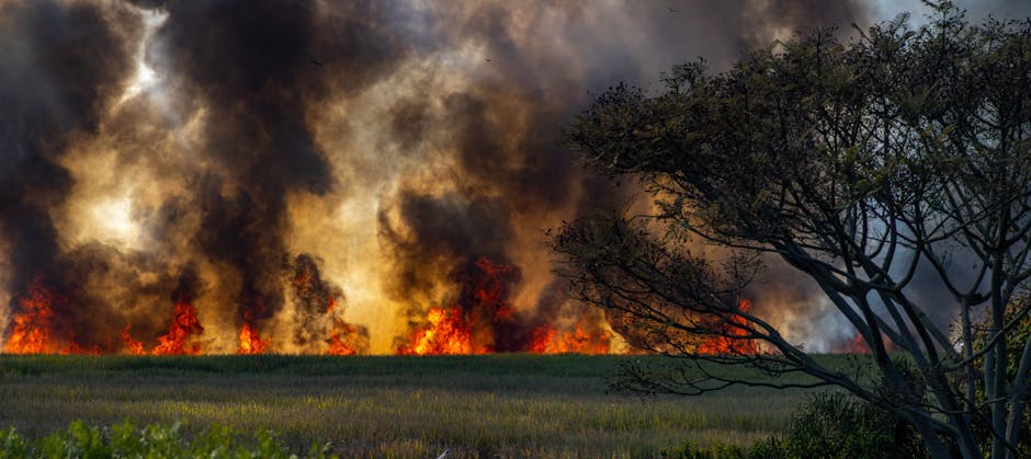 Temperaturi record în Europa de Vest: seceta și incendiile continuă să se agraveze