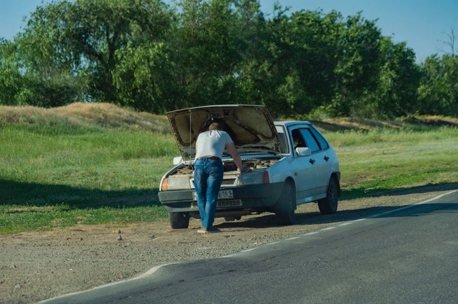 Cum să rezolvi rapid neînțelegerile la inspecția auto, conform RAR