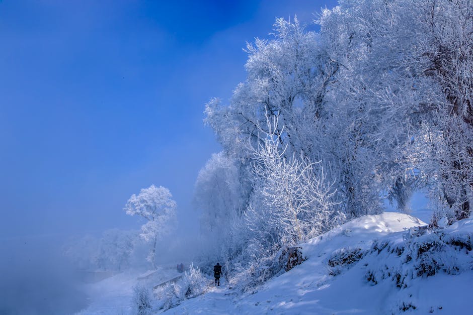 Vreme extrem de rece în Crișana: prognoza meteo pentru următoarele săptămâni