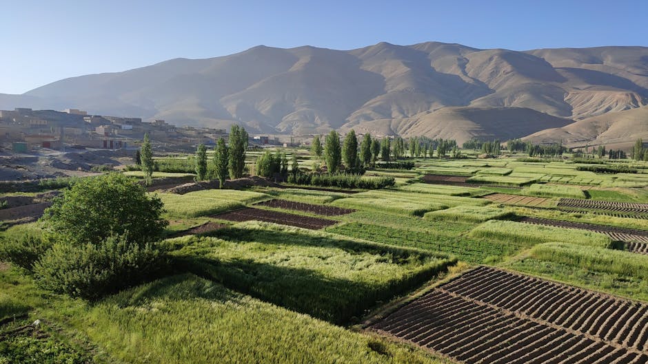 Reforma majoră în agricultură: impactul schimbărilor administrative asupra fermierilor din Vrancea