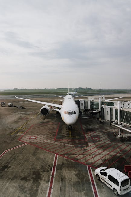 Aeroporturile din Paris paralizate de ninsori: zeci de curse anulate