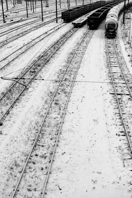 Ucraina explorează transportul cerealelor prin Moldova către Constanța
