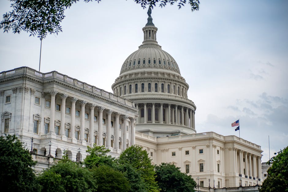 Congresul american sub presiune: ancheta asupra corupției din familia Trump se intensifică