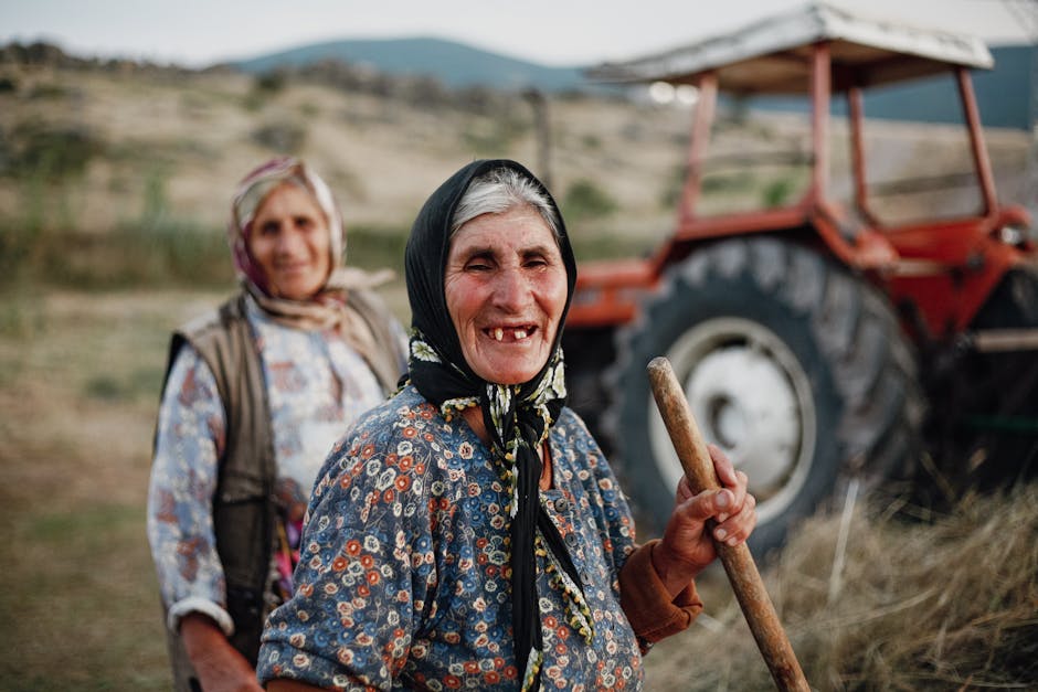 Sibiul continuă aventura în natură: programul „Anii Drumeției” se extinde până în 2026