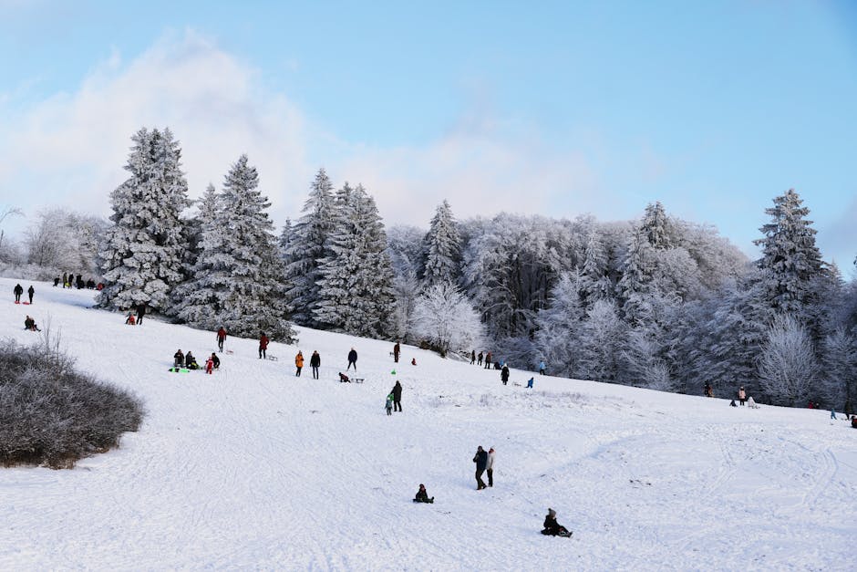 Zăpada aduce bucurie copiilor la Muzeul Satului din Baia Mare