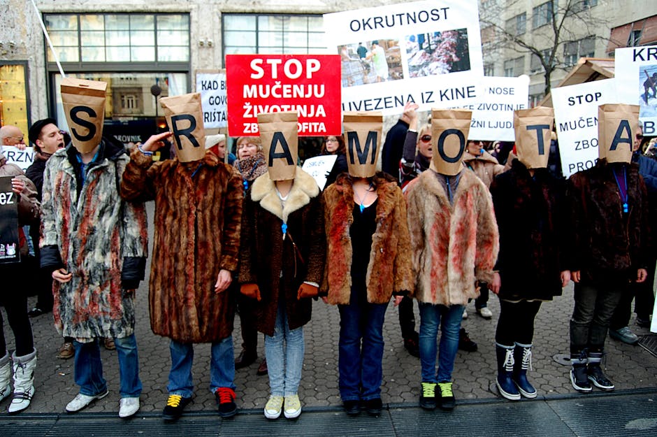 Timișoara se mobilizează pentru drepturile animalelor de Ziua Internațională a Animalelor