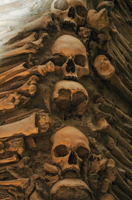 Un bărbat acuzat de furtul a peste 100 de cranii umane dintr-un cimitir
