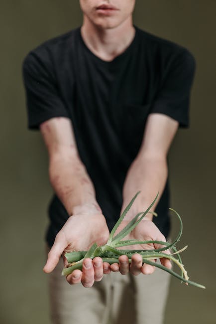 Descoperă puterea uimitoare a aloe vera pentru sănătate și frumusețe