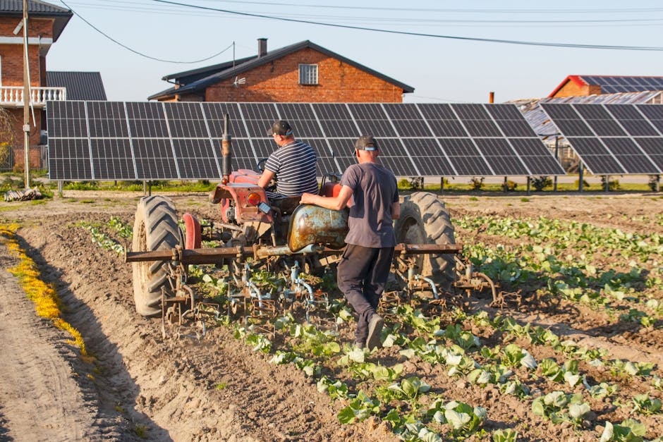 Fermierii din Oltenia discută despre viitorul agriculturii la Craiova
