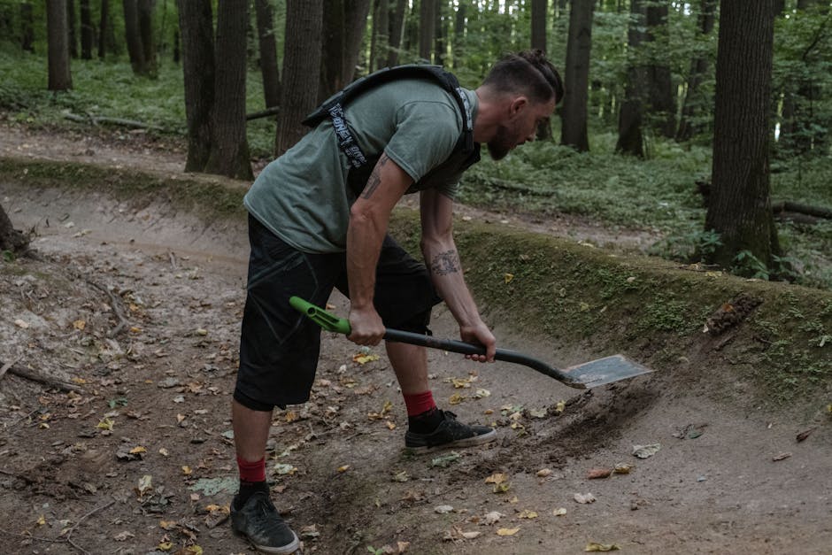 Ațintiș se îndreaptă spre un viitor verde: proiectul de împădurire avansează