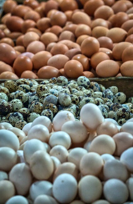 Scandal alimentar: R. Moldova interzice importul de furaje din Ucraina după sacrificarea a 100.000 de păsări