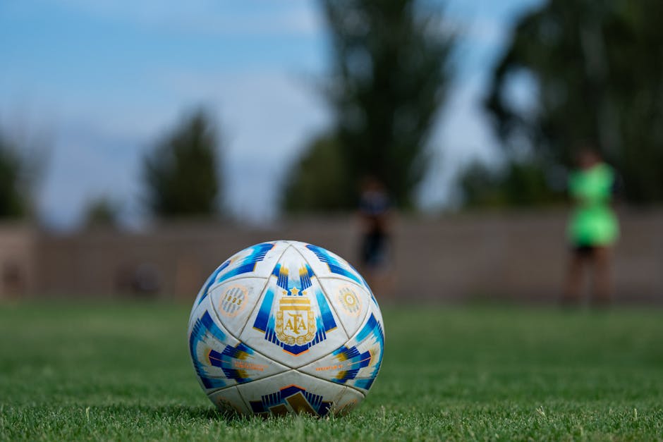 CSM Târgu Jiu se pregătește pentru un sezon promițător cu șapte meciuri amicale