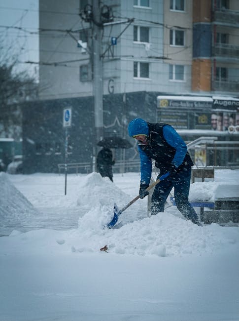 Ninsoare în Oradea: Primarul asigură monitorizarea deszăpezirii în timp real