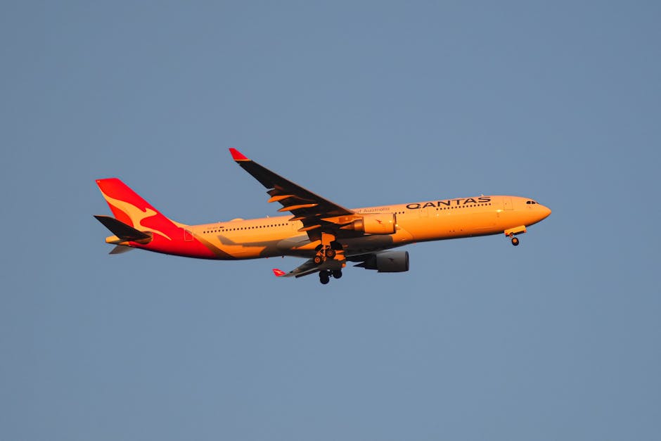Pasageri blocați în Italia din cauza ploșnițelor: un zbor Qantas anulat