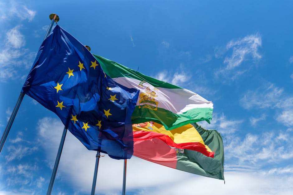 Vizita ambasadorului Emiratelor Arabe Unite la Primăria Constanța: perspective de dezvoltare economică