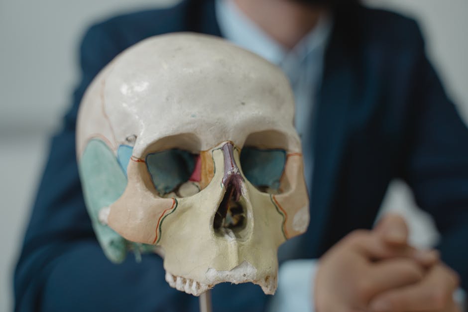 Pregătește-te pentru admitere: cursuri de biologie la UMFST Târgu Mureș