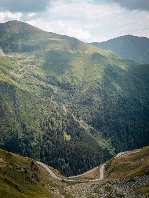 Un urs a provocat haos pe Transfăgărășan, distrugând o mașină a turiștilor