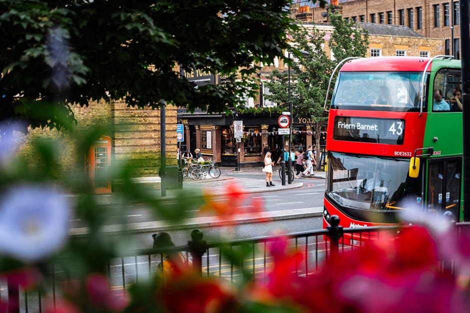 Oradea introduce linia 43 de autobuz, conectând Bazinul Olimpic de Terra