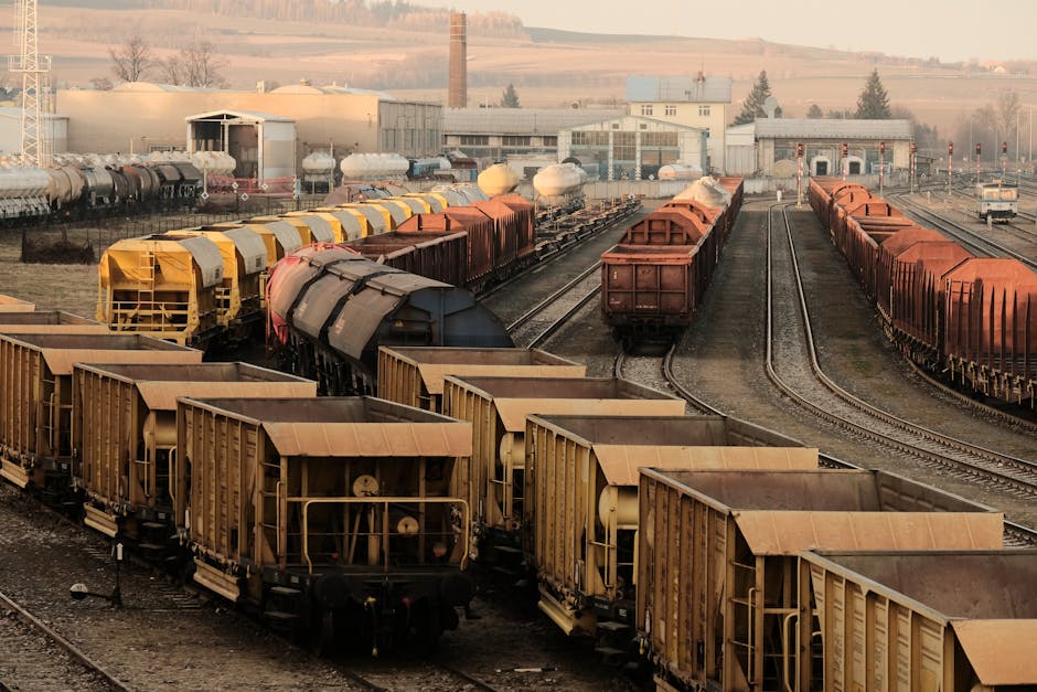Declarațiile lui Radu Miruță: Trenurile românești cu cereale au prioritate clară