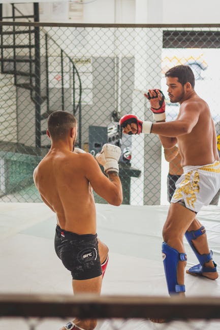 Sătmărenii sunt pregătiți pentru un spectacol de neuitat la Gala Grand Tournament