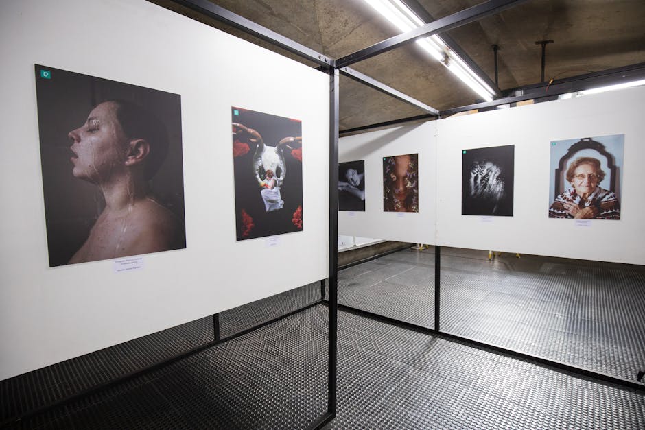Descoperă universul interior la noua expoziție a artistului Bogdan Ciocodeică