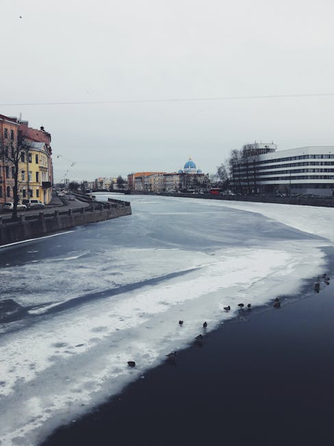 Iarna înghețată din Iași: rațele explorează Bahluiul în sloiuri de gheață