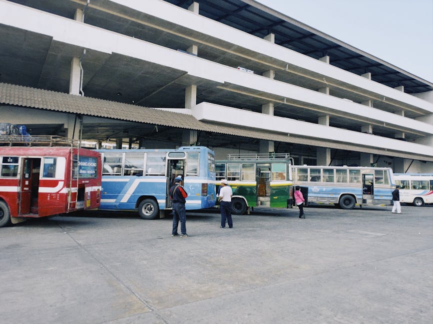 Nouă autobază în Zalău: investiție de aproape 2 milioane de euro în transportul public