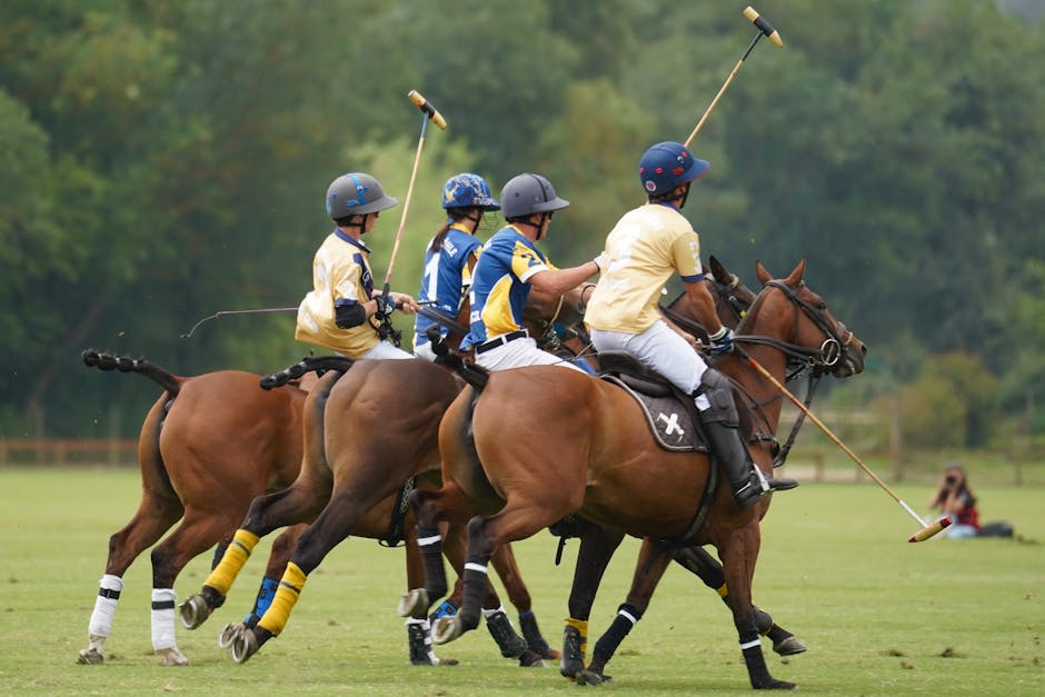 România înfruntă Italia, dar avansează în faza următoare a Campionatului European de polo