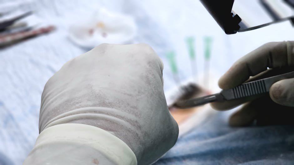 O femeie din Italia își recapătă vederea după un transplant revoluționar de maculă