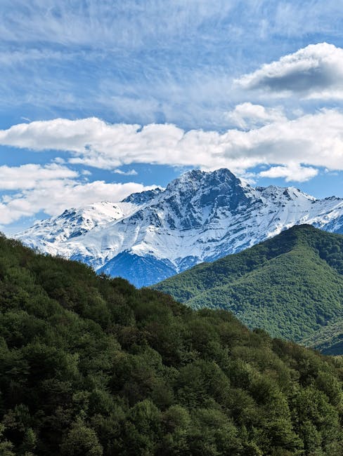 Descoperă peisajele uimitoare de pe Vârful Saca Mare la 1777 metri