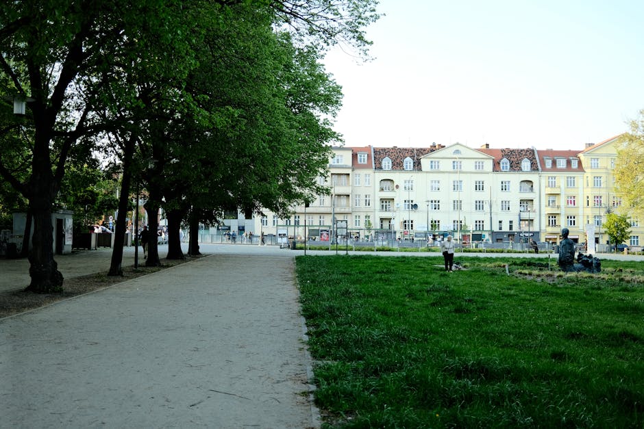 Sântana investește 19,5 milioane de lei în revitalizarea zonei istorice