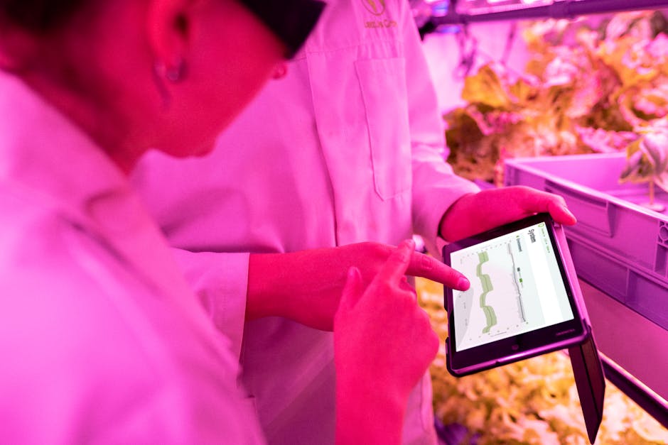Portalul fermierilor: APIA lansează un proiect revoluționar pentru digitalizarea agriculturii